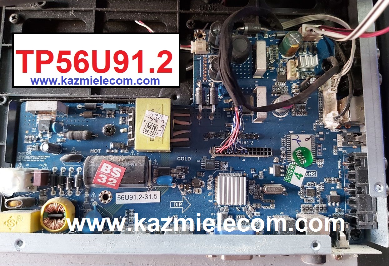 Tp56U91.2